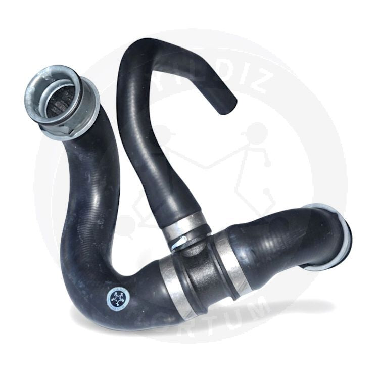 Lower Radiator Hose 9065013082
