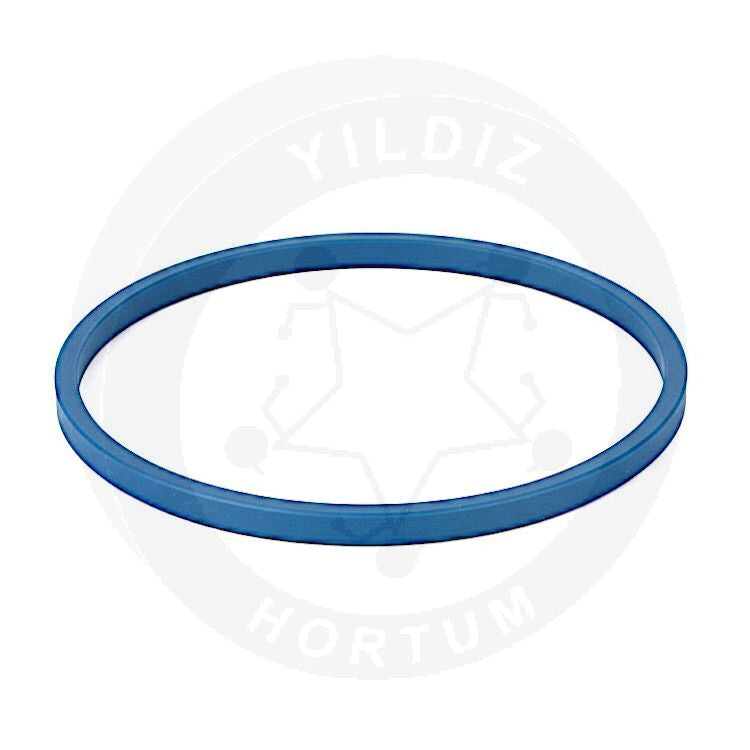 High-quality Fuel Tank Gasket 815164, compatible with Vauxhall/Opel